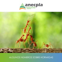 logo Anecpla