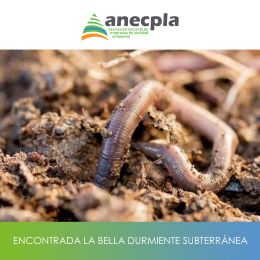 logo Anecpla