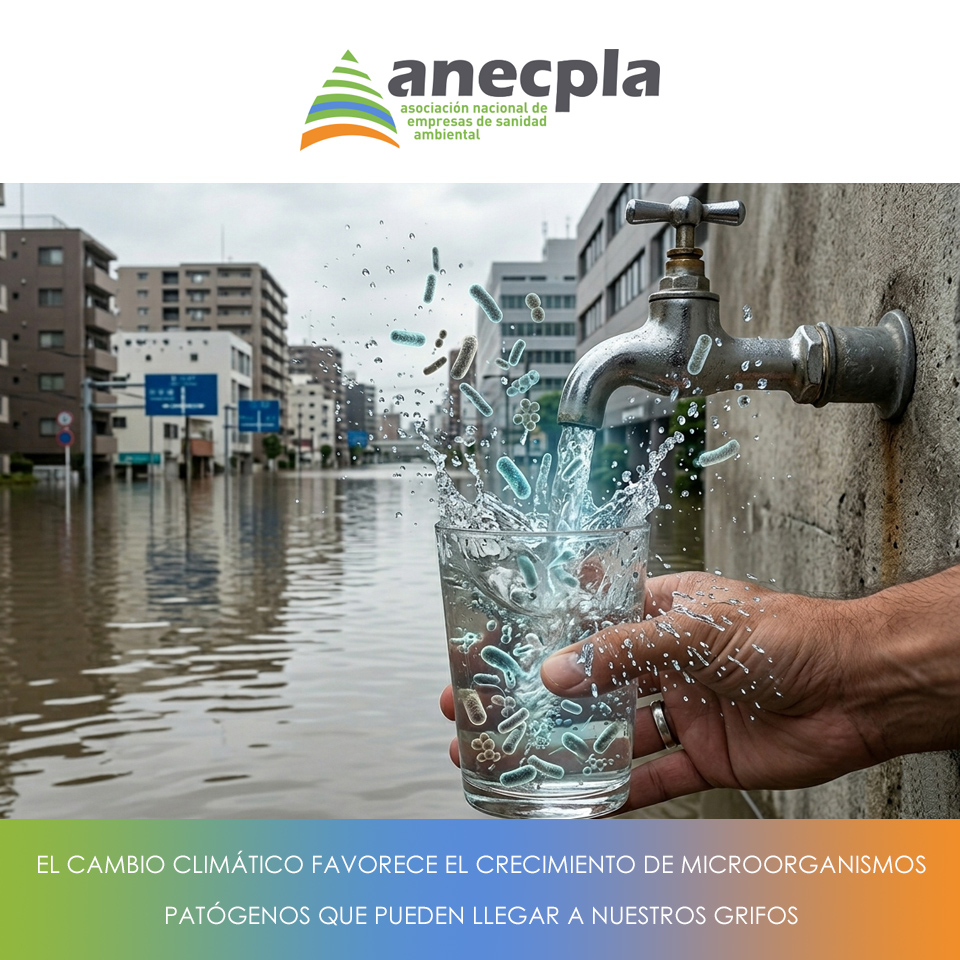 logo Anecpla