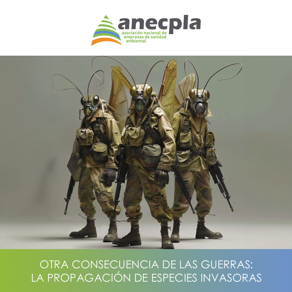 logo Anecpla