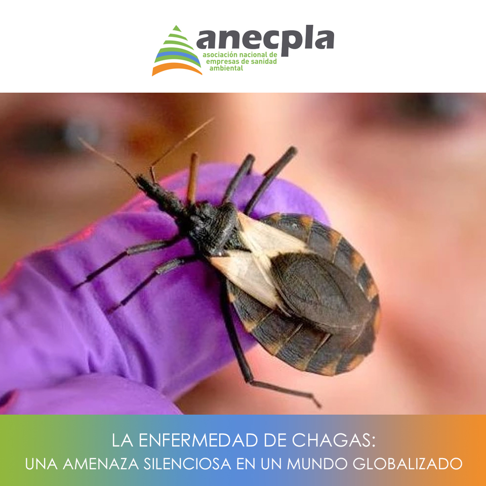 logo Anecpla
