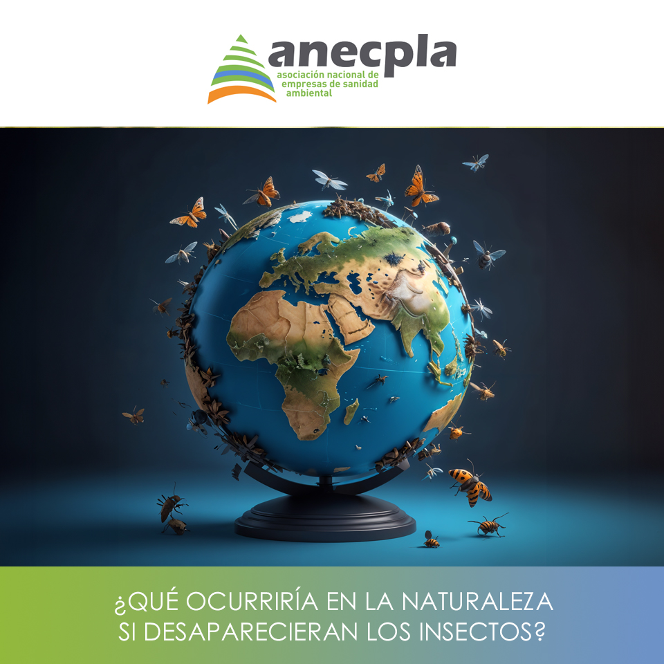 logo Anecpla